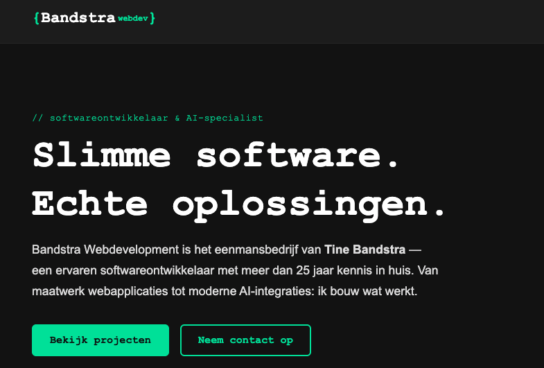 Bandstra Webdevelopment Website-Showcase